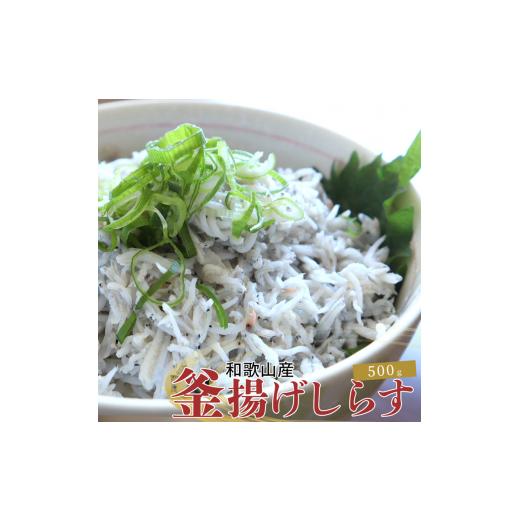 ふるさと納税 和歌山県 北山村 紀州和歌山湯浅産 釜揚げしらす 500g(100g×5) ※冷凍発送...