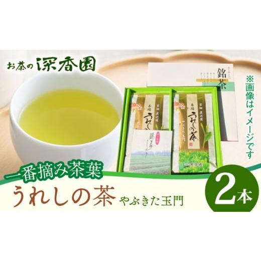 ふるさと納税 佐賀県 武雄市 【一番摘み茶葉使用】うれしの茶 2本入（やぶきた 玉門 100g×2本...