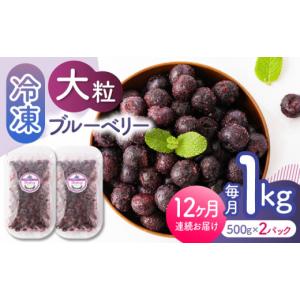 ふるさと納税 果物類 熊本県 山鹿市 12回定期...の商品画像