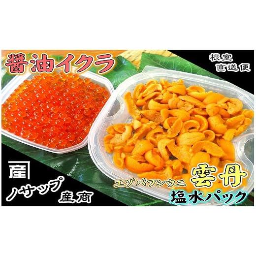 ふるさと納税 ウニ 北海道 根室市 D-59037 12／10まで年内配送 エゾバフンウニ塩水パック...