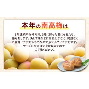 ふるさと納税 加工品等 梅干 和歌山県 上富田...の詳細画像3