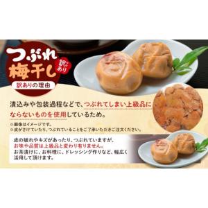 ふるさと納税 加工品等 梅干 和歌山県 上富田...の詳細画像4