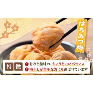 ふるさと納税 加工品等 梅干 和歌山県 上富田...の詳細画像5