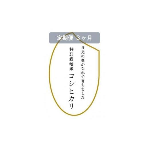 ふるさと納税 栃木県 日光市 【定期便3ヶ月】令和5年産　特別栽培米コシヒカリ　玄米10kg（5kg...