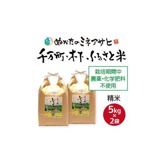 ふるさと納税 愛知県 岡崎市 〈ぬかたのミネアサヒ〉千万町木下ふるさと米(精米)10kg(5kg×2...