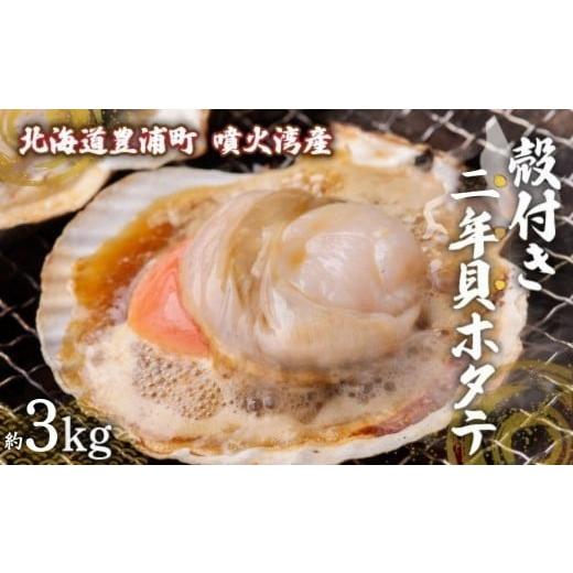 ふるさと納税 魚貝類 ホタテ 北海道 豊浦町  先行予約 北海道 豊浦町 殻付き 2年貝 活ホタテ ...