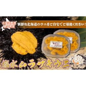 ふるさと納税 北海道 豊浦町 うに 塩水 ムラサキウニ