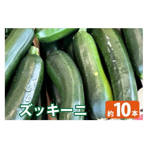ふるさと納税 愛知県 知多市 ズッキーニ ／ 野菜 ウリ科 ビタミンC 愛知県