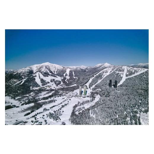 ふるさと納税 スキーチケット 北海道 占冠村 星野リゾート　トマム スキー場　1日券（大人）