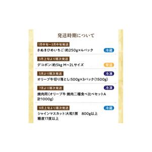 ふるさと納税 ぶどう マスカット 香川県 三豊...の詳細画像3