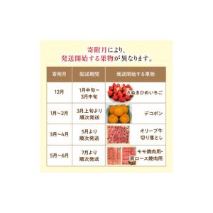 ふるさと納税 ぶどう マスカット 香川県 三豊...の詳細画像5