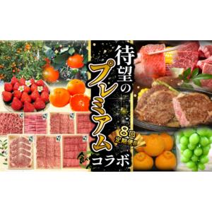 ふるさと納税 ぶどう マスカット 香川県 三豊市 待望のプレミアムコラボ 8回 定期便CB