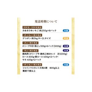 ふるさと納税 ぶどう マスカット 香川県 三豊...の詳細画像3