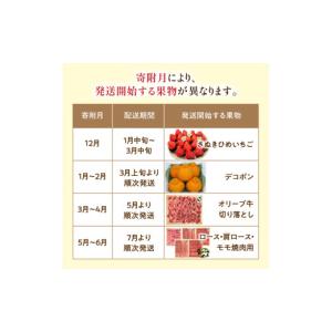 ふるさと納税 ぶどう マスカット 香川県 三豊...の詳細画像5