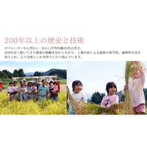 ふるさと納税 米 コシヒカリ 新潟県 津南町 ...の詳細画像4