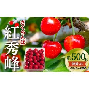 ふるさと納税 山形県 南陽市 【令和6年産先行予約】 さくらんぼ 「紅秀峰」 約500g (特秀 3...