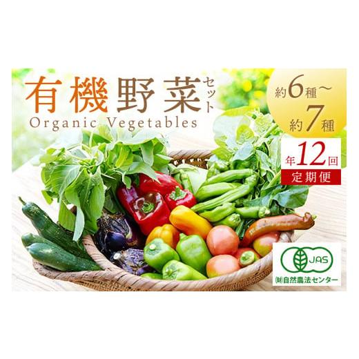 ふるさと納税 セット・詰合せ 京都府 京丹後市  年12回定期便 てんとうむしばたけ オーガニック野...