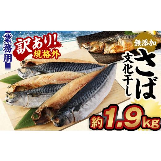 ふるさと納税 茨城県 神栖市 訳あり規格外 業務用無添加さば文化干し 1.9kg