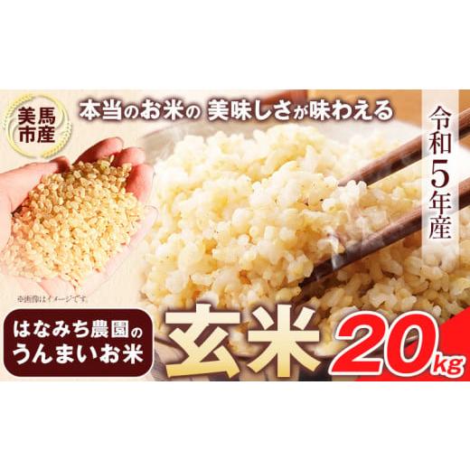 ふるさと納税 徳島県 美馬市 はなみち農園のうんまいお米・玄米 令和5年産 20kg《30日以内に発...