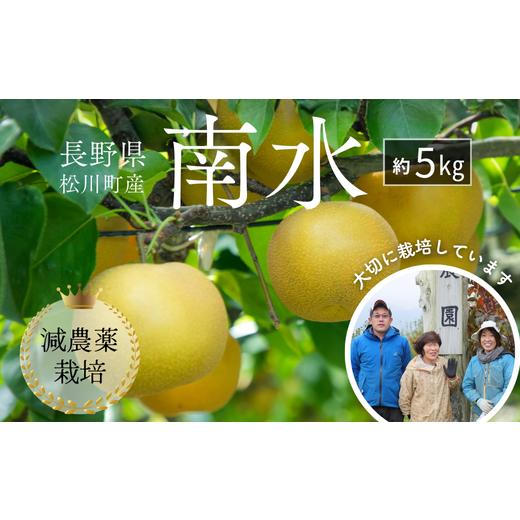 ふるさと納税 梨 長野県 松川町 YN09-26A 先行予約 梨 南水 約5kg 減農薬栽培 秀品／...