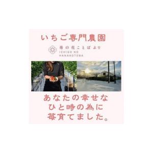 ふるさと納税 いちご 新潟県 上越市 先行予約...の詳細画像2