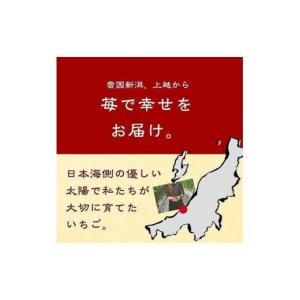 ふるさと納税 いちご 新潟県 上越市 先行予約...の詳細画像3