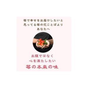 ふるさと納税 いちご 新潟県 上越市 先行予約...の詳細画像4