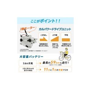 ふるさと納税 自転車 大阪府 柏原市 パナソニ...の詳細画像5