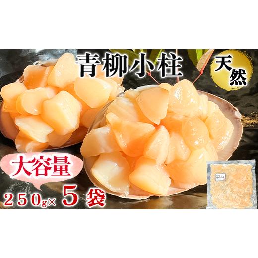 ふるさと納税 愛知県 南知多町 岬だよりの＜貝専門店＞天然の青柳小柱　250g×5袋