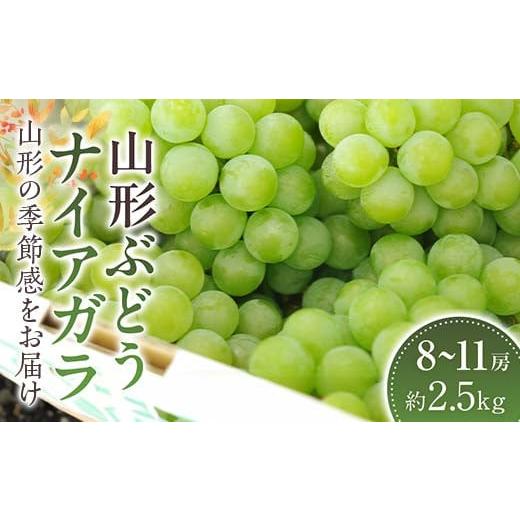 ふるさと納税 山形県 - 山形ナイアガラ ぶどう 約8房〜約11房 約2.5kg【2024年8月から...