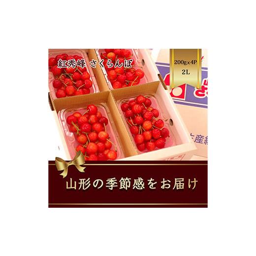 ふるさと納税 山形県 - さくらんぼ 紅秀峰 200g×4パック 2Lサイズ【2024年6月下旬から...