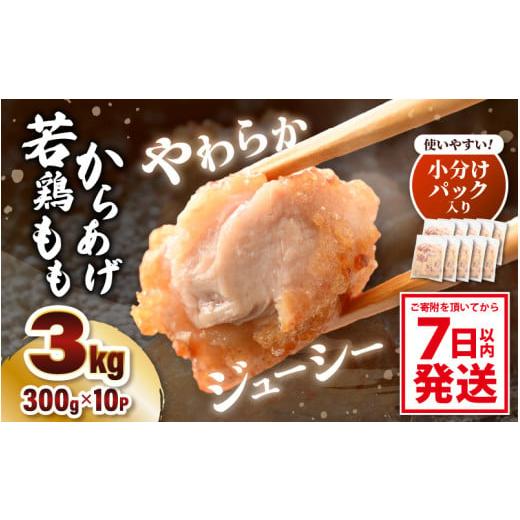 ふるさと納税 福井県 坂井市 味付け鶏もも肉（からあげ用） 300g × 10p 計3.0kg 【7...