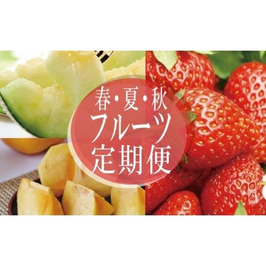 ふるさと納税 果物の詰合せ 山形県 酒田市  3回定期便 自然の恵み 春・夏・秋フルーツ定期便202...