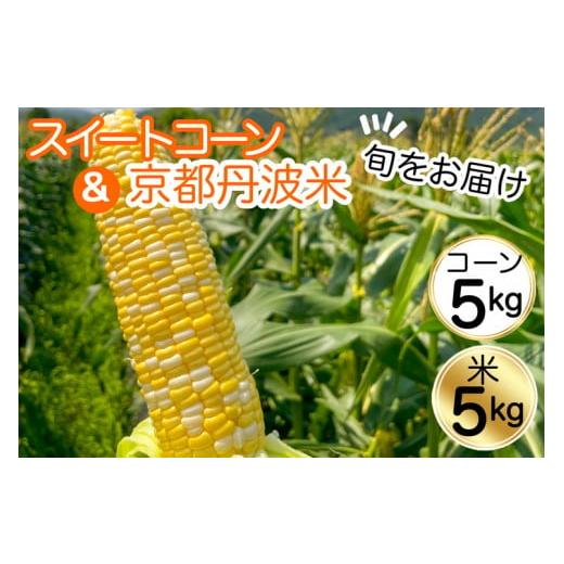 ふるさと納税 京都府 亀岡市 【2回定期便】キヌヒカリ 5kg ＆ 朝採れ とうもろこし 5kg　ス...