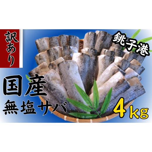 ふるさと納税 魚貝類 千葉県 銚子市 訳あり 国産 無塩さば 4kg フィーレ 鯖 さば 冷凍 切身...