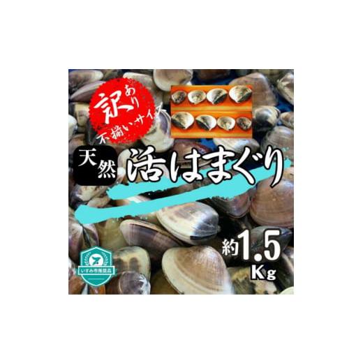 ふるさと納税 千葉県 いすみ市 (( 訳あり )) 天然 活はまぐり 約1.5kg _ 蛤 ハマグリ...