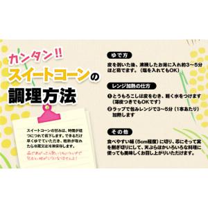ふるさと納税 とうもろこし 宮崎県 西都市 5...の詳細画像5