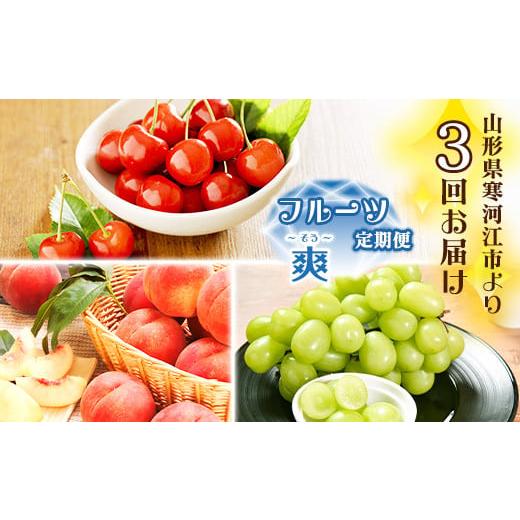 ふるさと納税 果物の詰合せ 山形県 寒河江市 《先行予約》令和8年産 3回定期便 山形県産 「フルー...