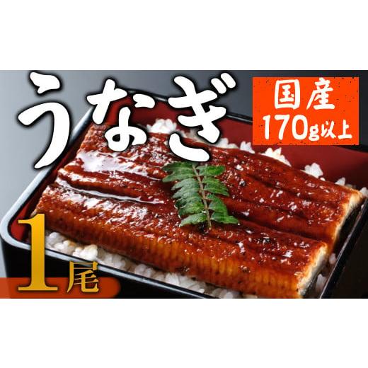 ふるさと納税 高知県 室戸市 【数量限定】海土のうなぎの蒲焼き　１尾 ウナギ 惣菜 冷凍 おかず 1...