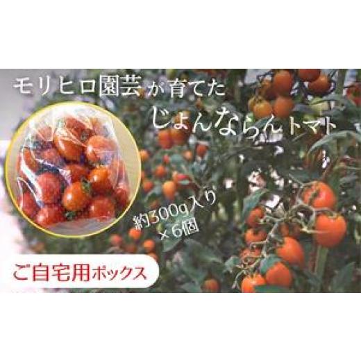 ふるさと納税 香川県 宇多津町 モリヒロ園芸が育てたじょんならんトマト（ご自宅用ボックス）