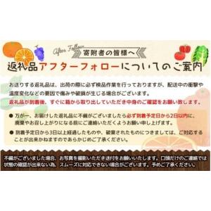 ふるさと納税 果物類 みかん 和歌山県 すさみ...の詳細画像5