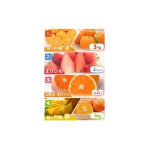ふるさと納税 果物類 みかん 和歌山県 すさみ...の詳細画像4