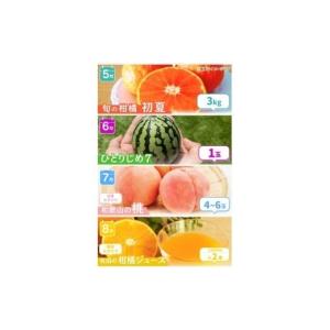 ふるさと納税 果物類 みかん 和歌山県 すさみ...の詳細画像5