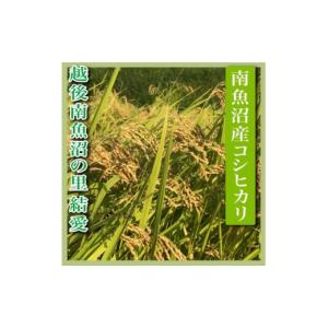 ふるさと納税 米 コシヒカリ 新潟県 南魚沼市...の詳細画像3