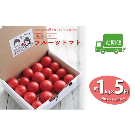 ふるさと納税 高知県 佐川町 【5回定期便】フルーツトマト 1kg×5回『合計5kg』 織田トマト ...