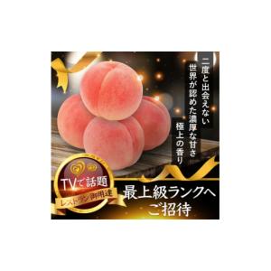 ふるさと納税 もも 山梨県 山梨市 2027年...の詳細画像1