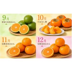 ふるさと納税 果物の詰合せ 和歌山県 太地町 ...の詳細画像4