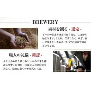 ふるさと納税 ビール 地ビール 埼玉県 川越市...の詳細画像3