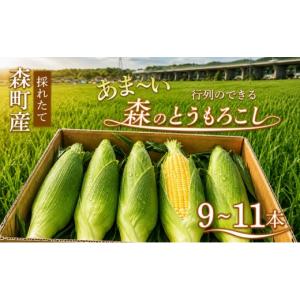 ふるさと納税 とうもろこし 静岡県 森町 とう...の詳細画像1