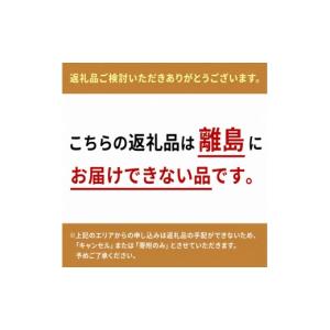 ふるさと納税 とうもろこし 静岡県 森町 とう...の詳細画像2
